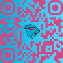 MrBeast QR code